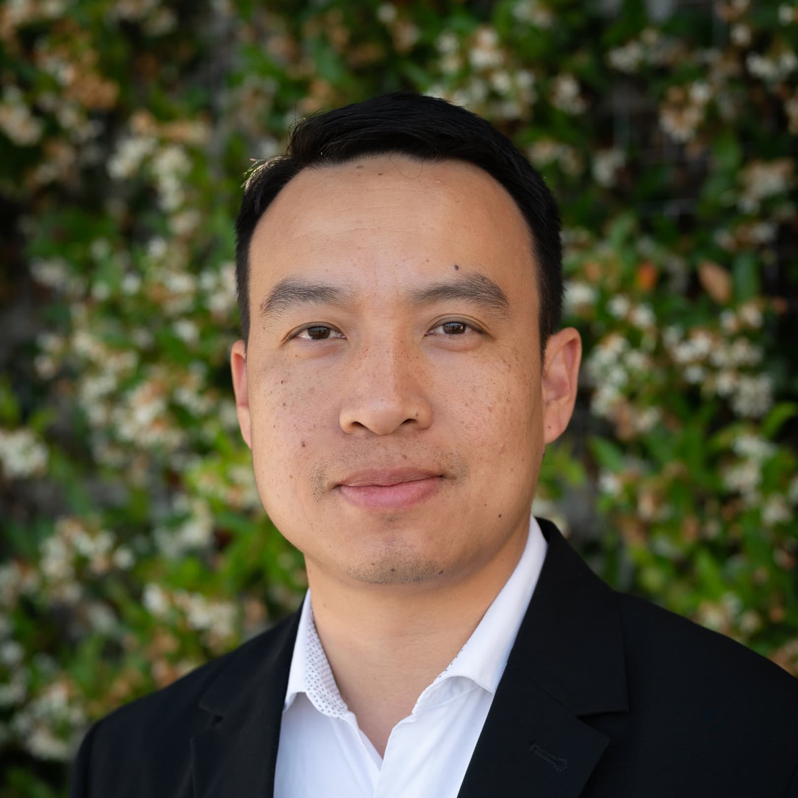 Dan Dao logo